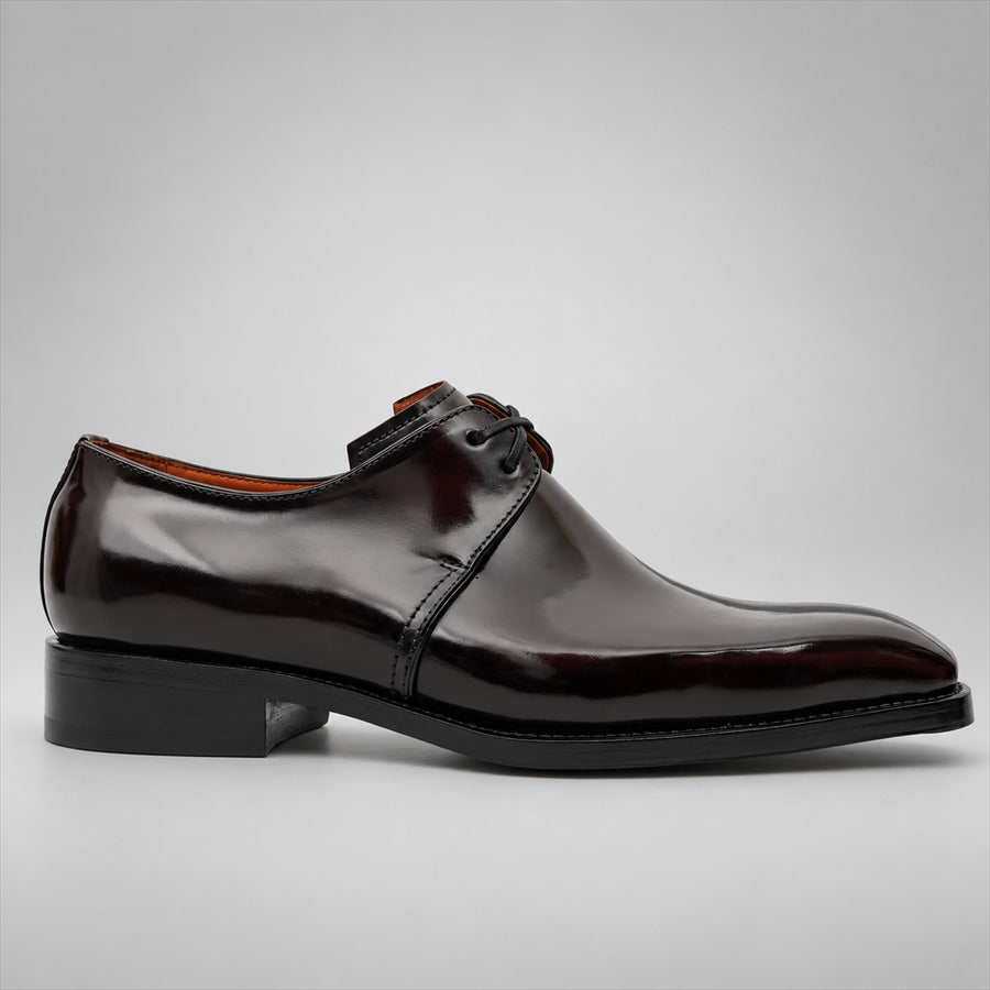 PASCH 267116A Dark Brown shell cordovan footwear, side view