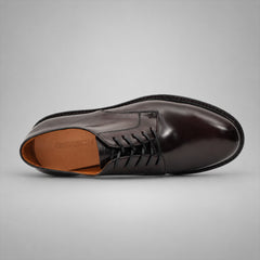 PASCH 267130A Dark Brown shell cordovan footwear, top view